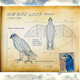 An early blueprint for the design of the heaven-sent creature.